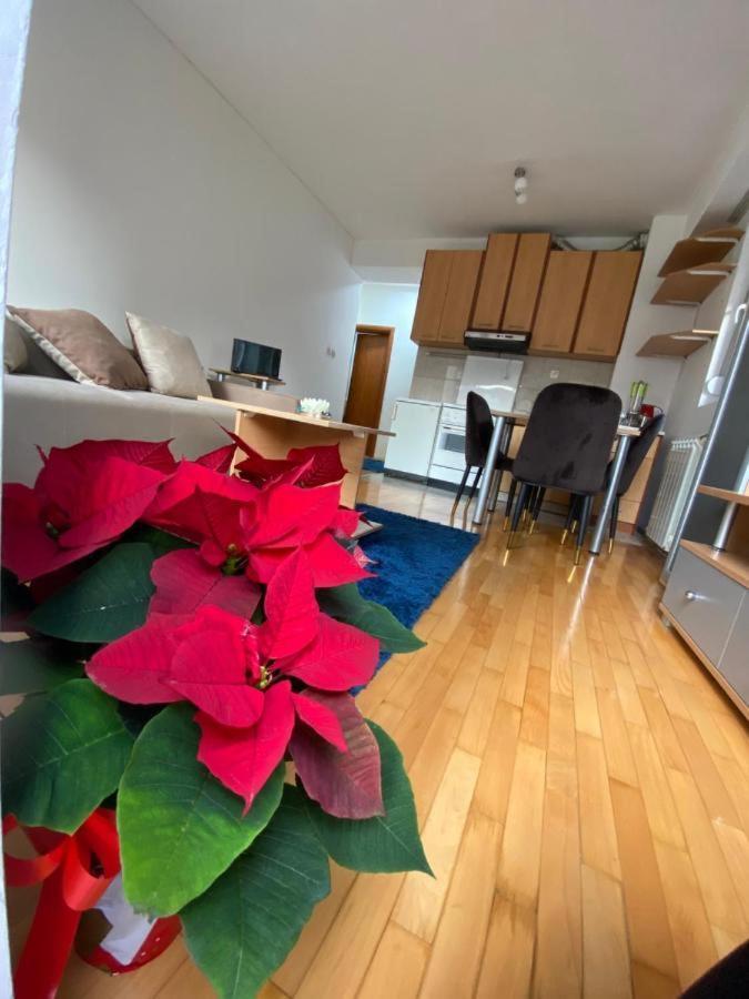 Tea Apartment Скопье Экстерьер фото
